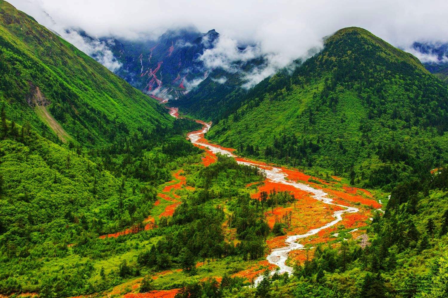 四川地理、历史与文化深度研究