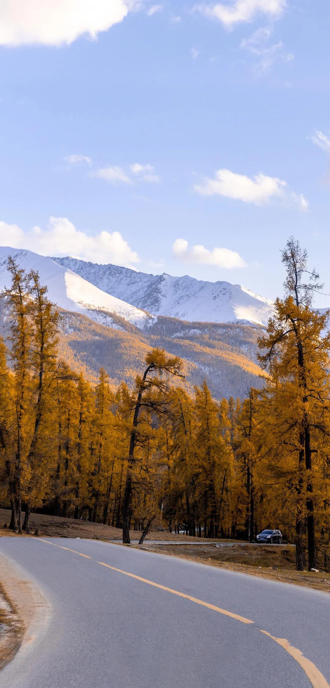新疆的魅力与风情