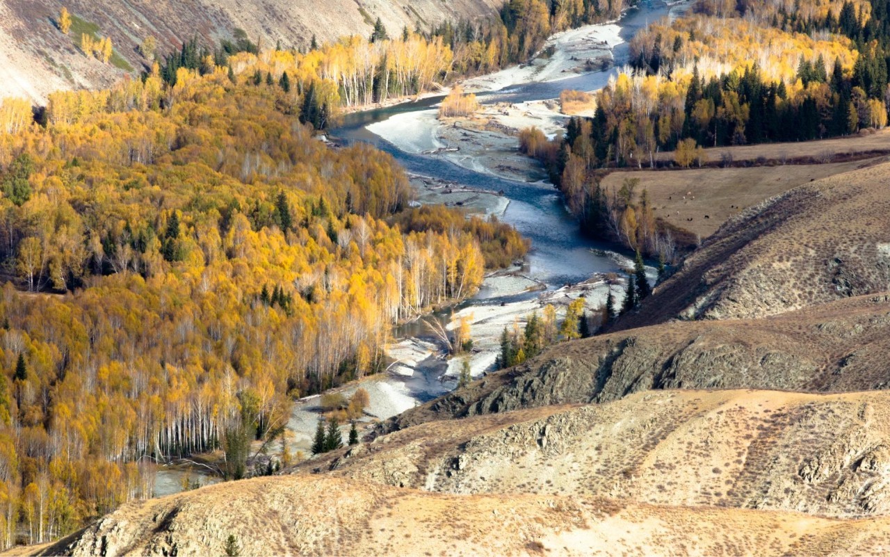 探寻新疆，神秘土地的无限魅力